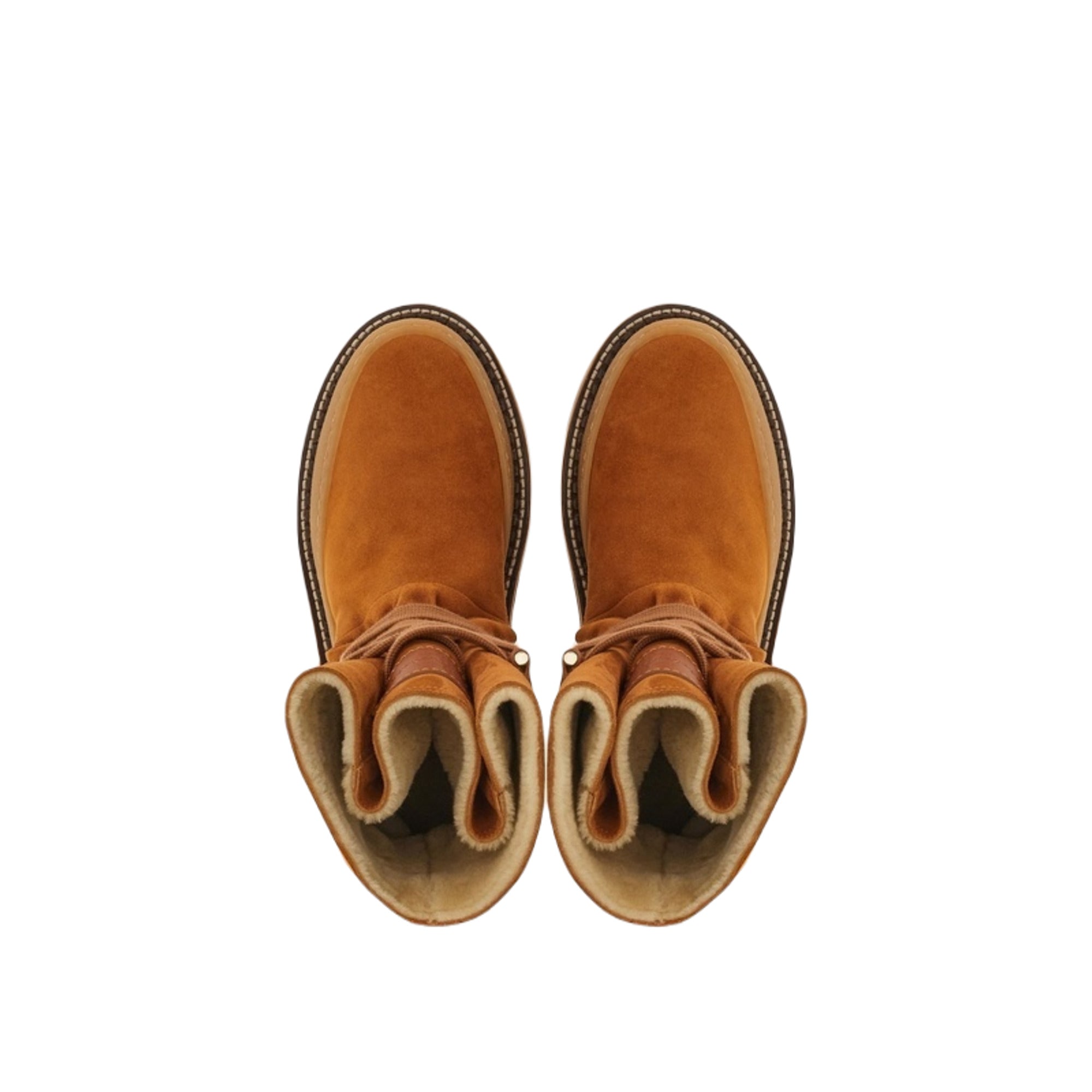 Ferragamo Celeno Women's Boots in Black