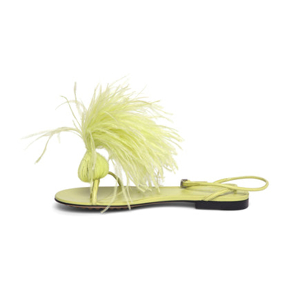Bottega Veneta Ladies Feather-Embellished Sandals